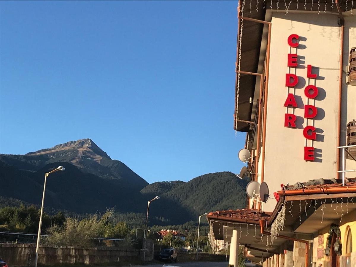 Ski Zone At Gondola, Perfect One Bdrm, Fast Wifi, Netflix, Quiet, Warm Bansko Exteriér fotografie