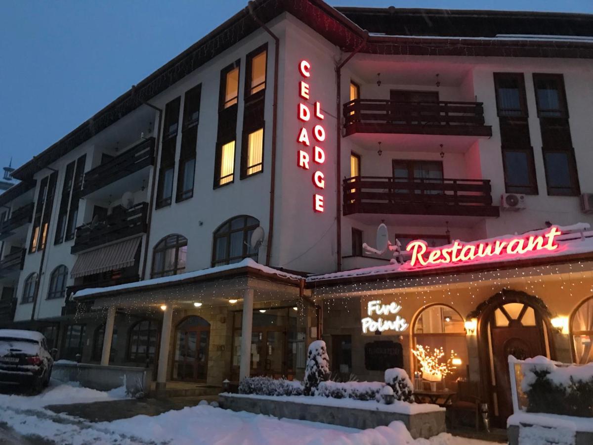 Ski Zone At Gondola, Perfect One Bdrm, Fast Wifi, Netflix, Quiet, Warm Bansko Exteriér fotografie