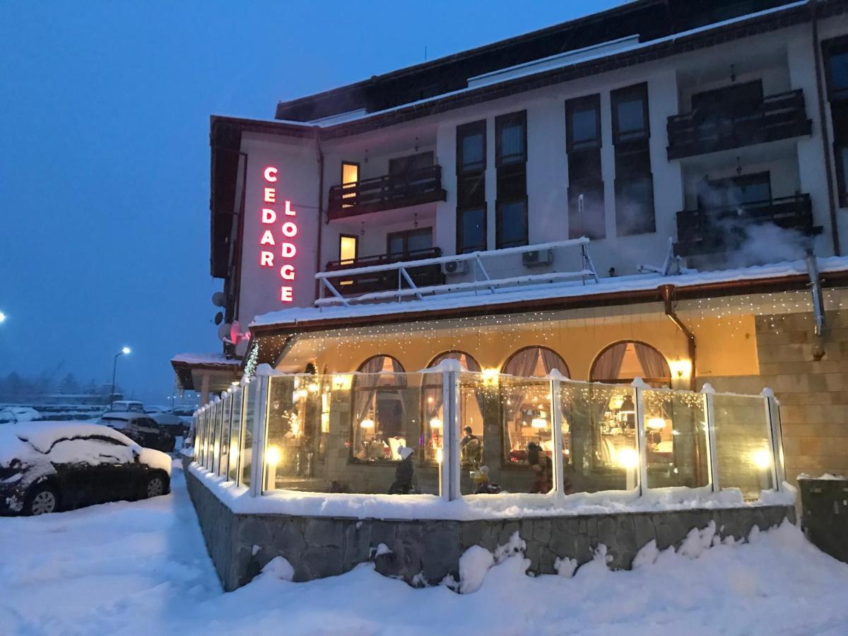 Ski Zone At Gondola, Perfect One Bdrm, Fast Wifi, Netflix, Quiet, Warm Bansko Exteriér fotografie