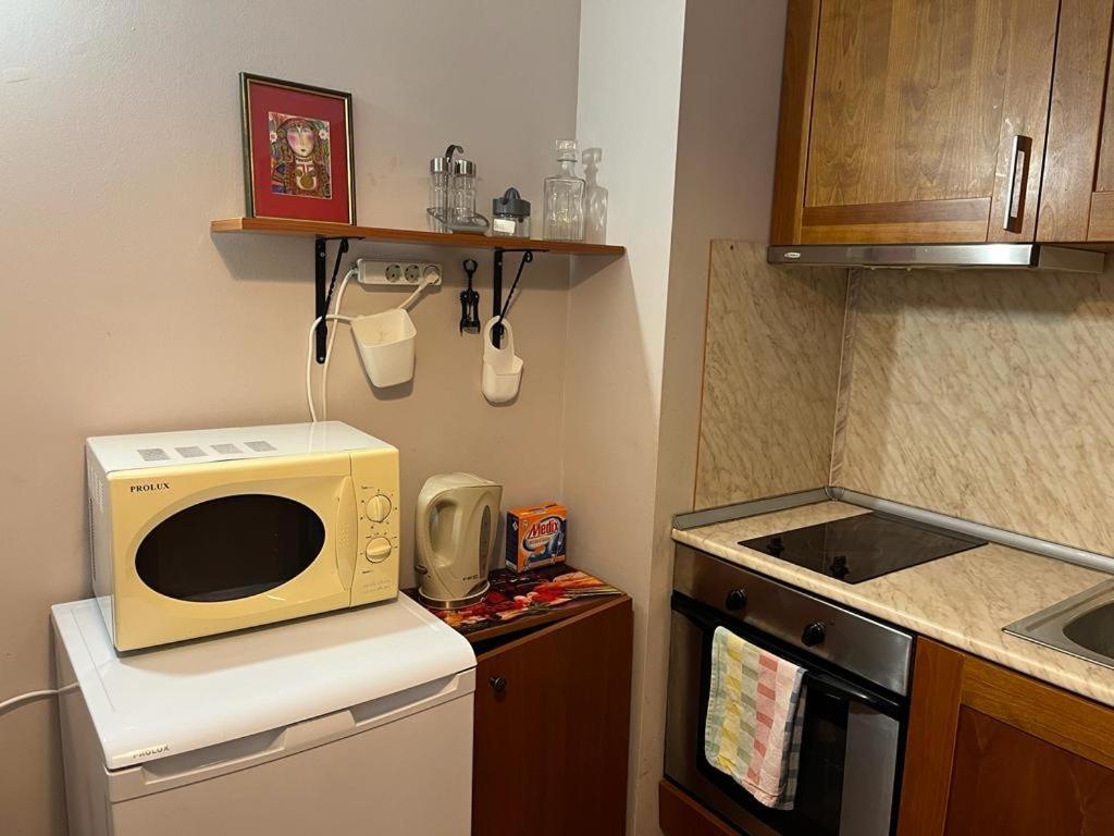 Ski Zone At Gondola, Perfect One Bdrm, Fast Wifi, Netflix, Quiet, Warm Bansko Exteriér fotografie